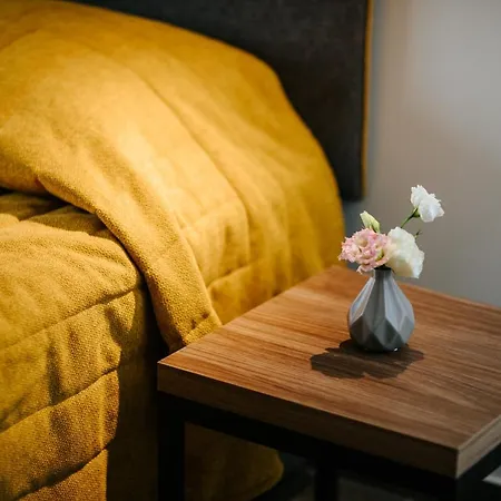 Hotel Cosmo Napa Boutique 3*