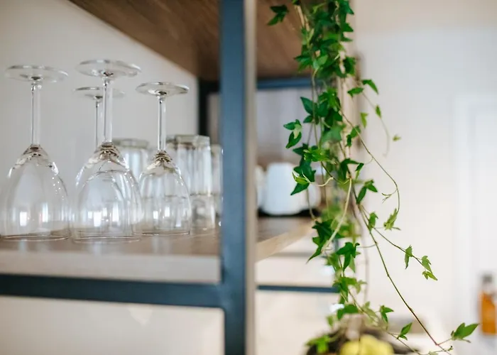 Hotel Cosmo Napa Boutique